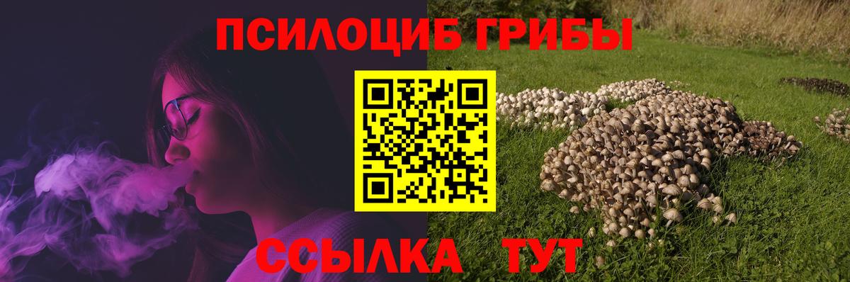 Псилоцибиновые грибы ЛСД  Тутаев  Псилоцибиновые грибы Magic Shrooms 
